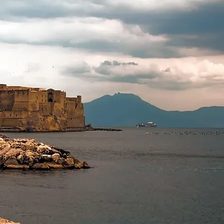 White | Enjoy Naples, The Cleanest Way Naples