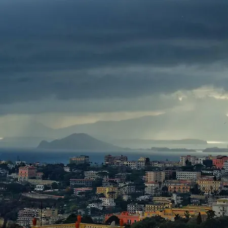 White | Enjoy Naples, The Cleanest Way